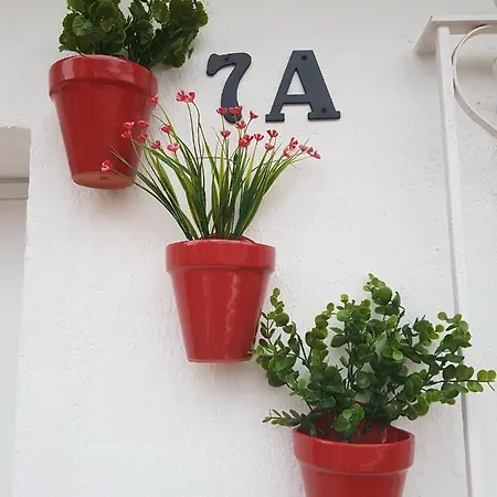 Tres Macetas