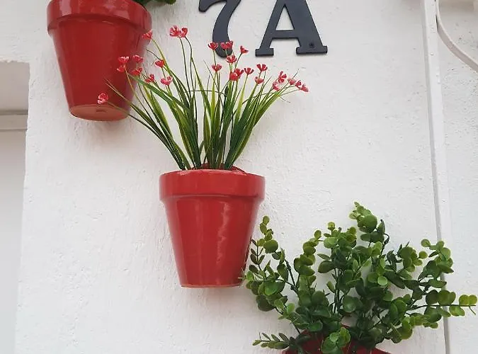Tres Macetas